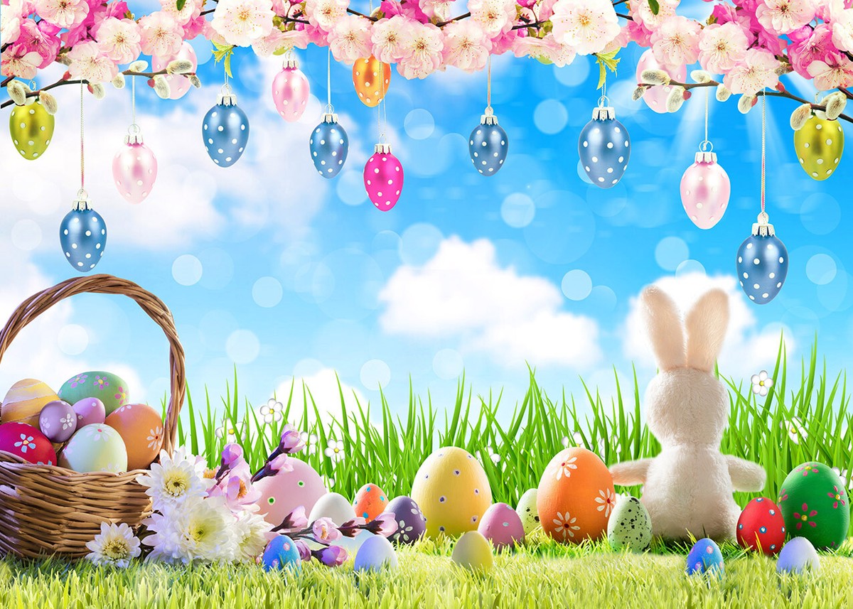 Collections – Barnyard Bling Boutique