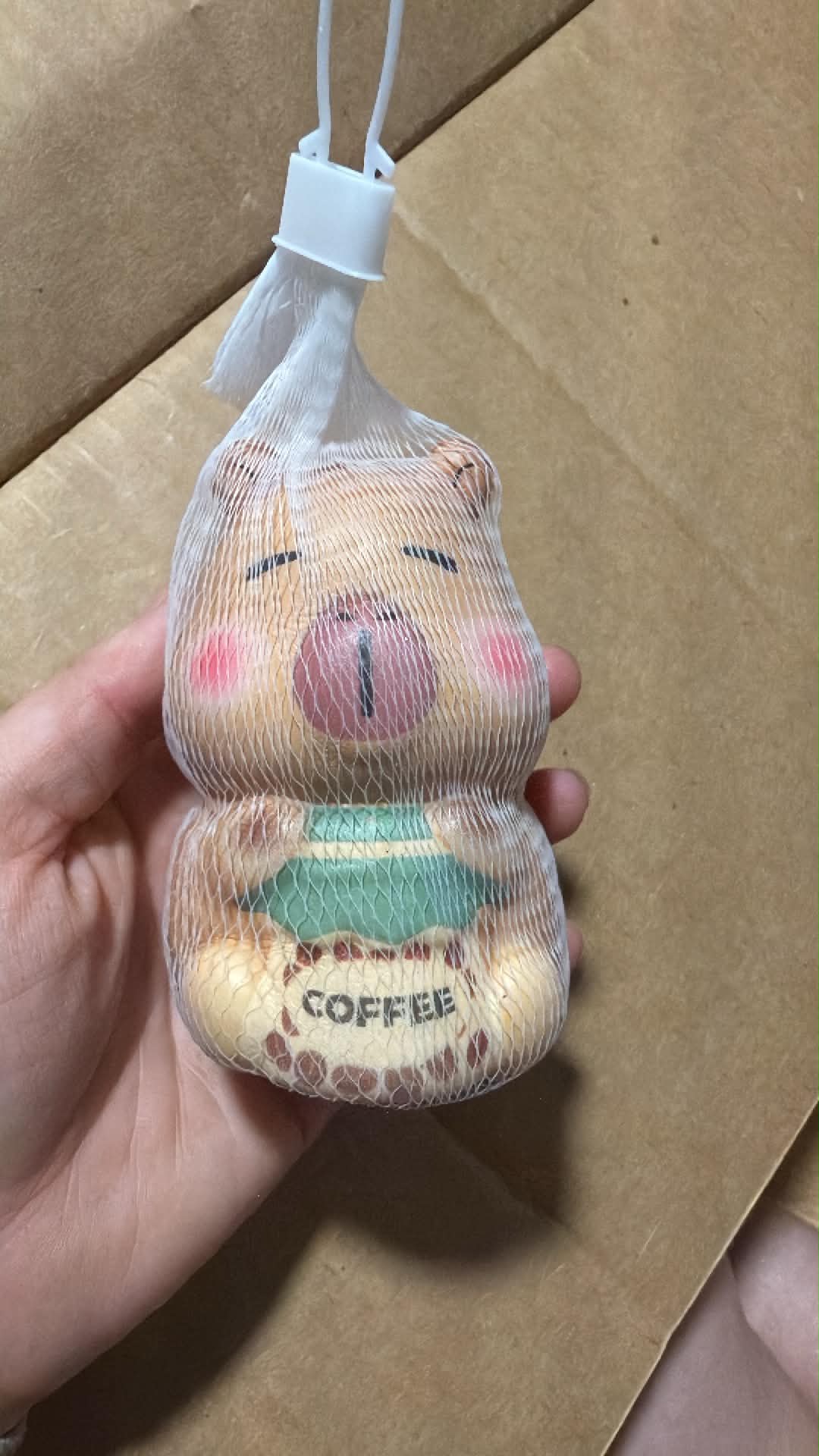 Capybara Foam Squish