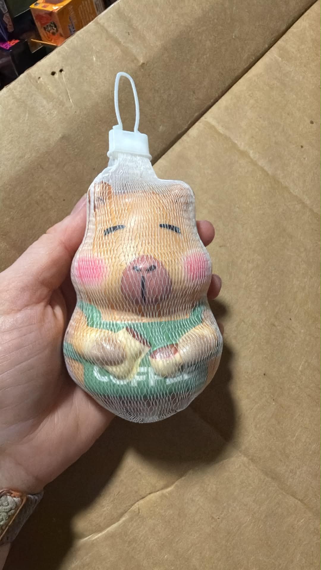 Capybara Foam Squish