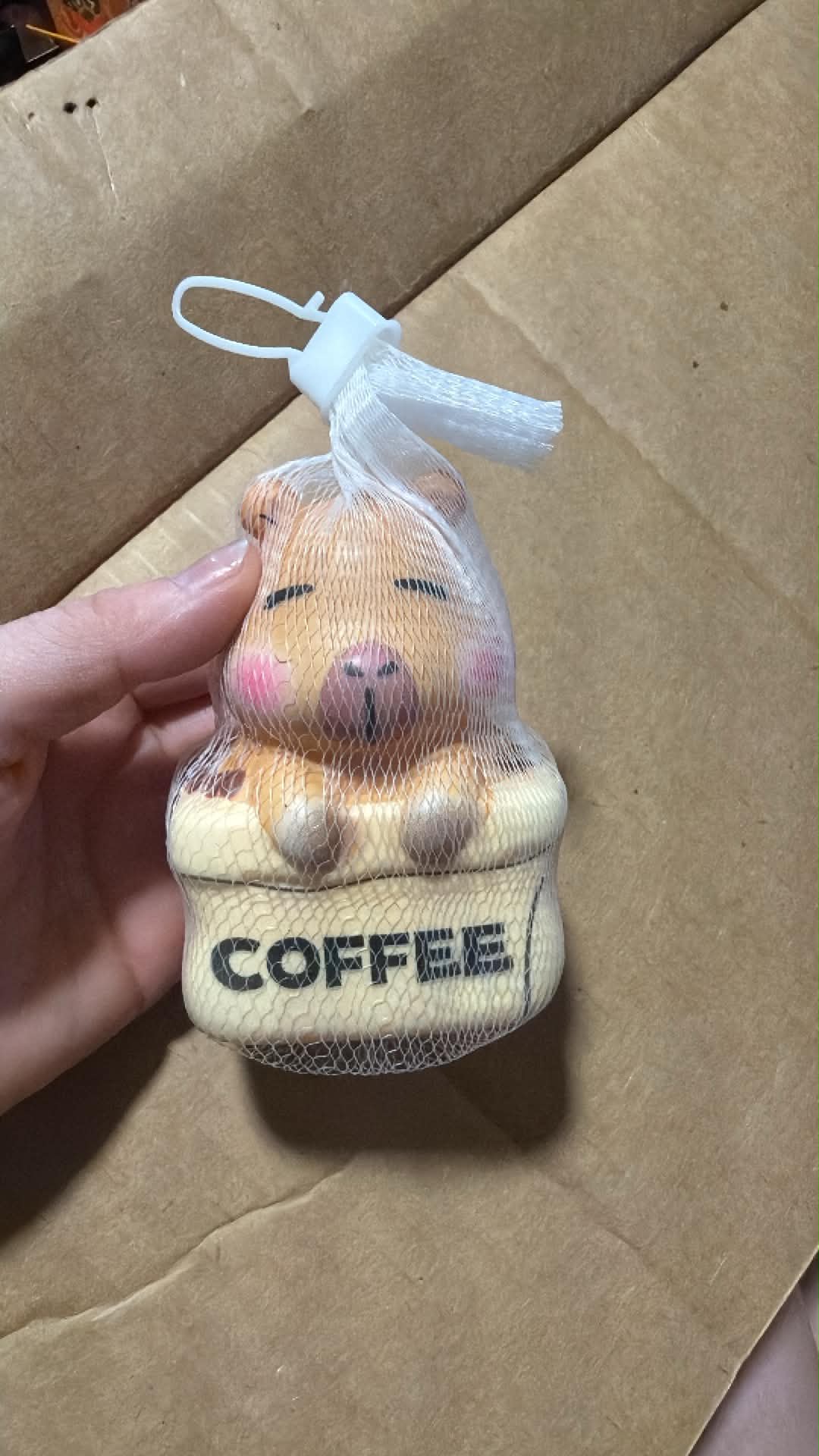 Capybara Foam Squish